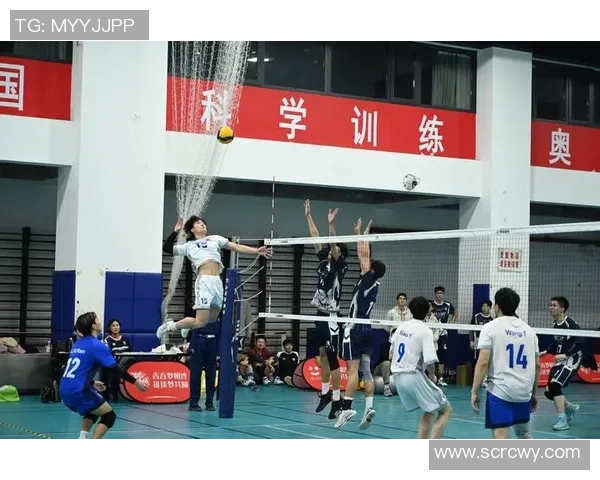 武汉排球队比赛经验的创新与变革引发热议